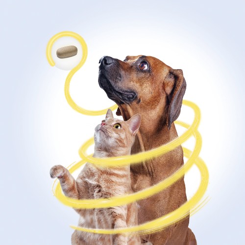Product intro image